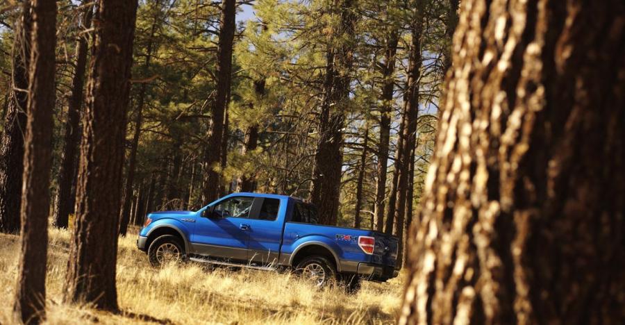  Ford F-150 2009 года  (фото 36 из 156)